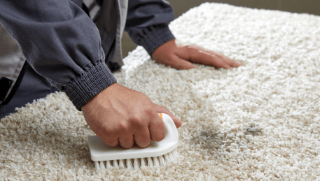 Professional Rug Cleaning Mount Helen